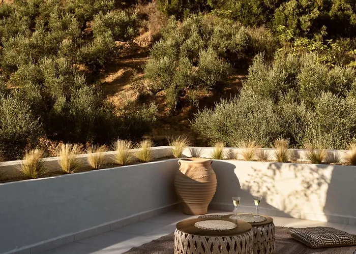 Alba D'oro * 拉加纳斯