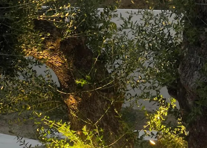 Alba D'oro 别墅 拉加纳斯